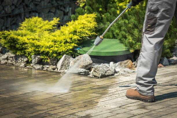 Best House Exterior Washing  in Ben Lomond, CA