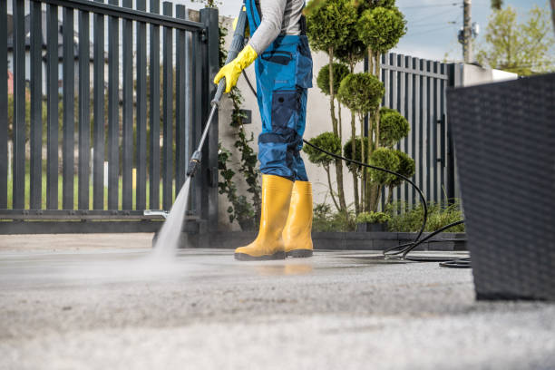 Best Pool Deck Cleaning  in Ben Lomond, CA
